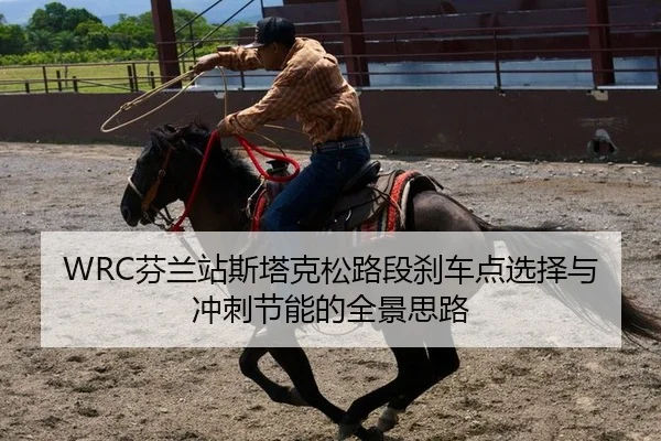 fen-lan-zhan-si-ta-ke-song-lu-duan-sha-che-dian-xuan-ze-yu-chong-ci-jie-neng-de-quan-jing-si-lu-2-371.jpg